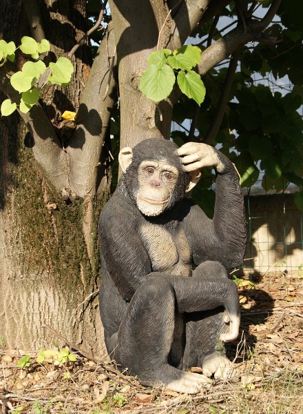 deco jungle chimpanze location événementiel