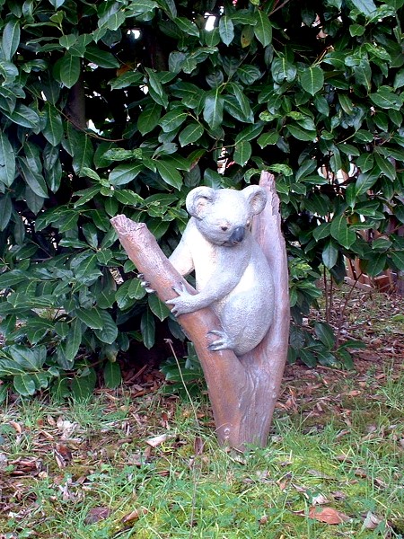 animaux Australie koala décor en vente ou location evenementiel